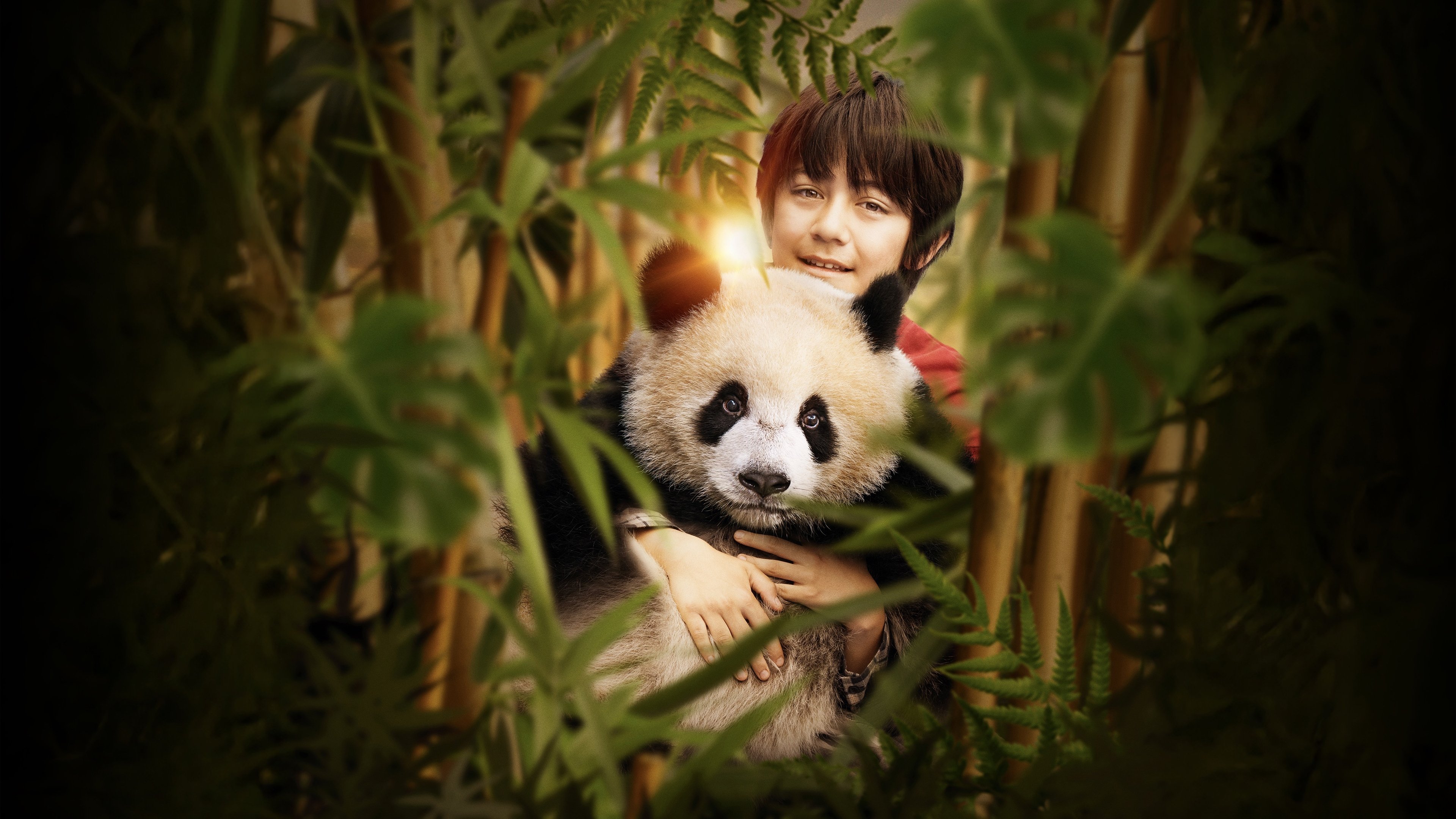 Mah Panda