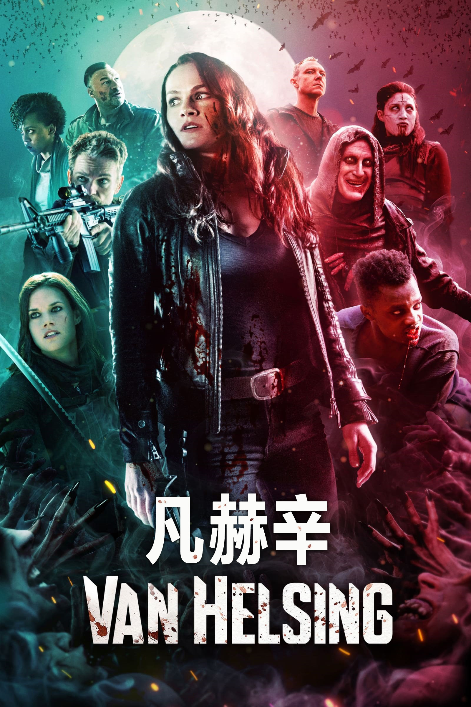 vn hlsyng